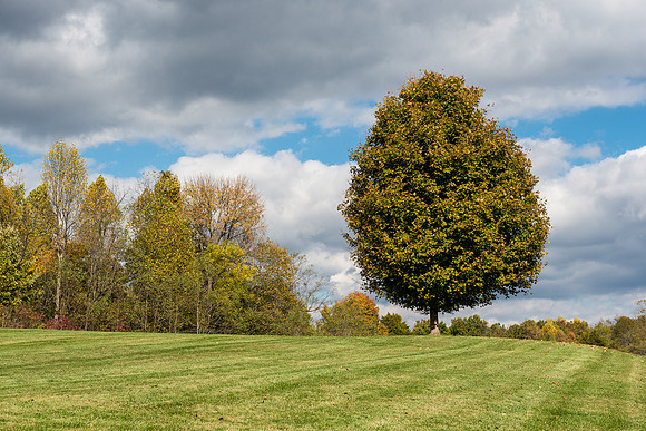 Lincoln grounds