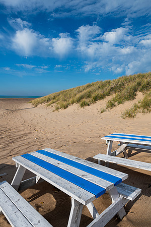 New Buffalo Beach