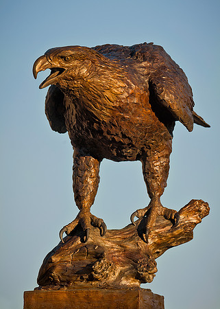 Bronze eagle
