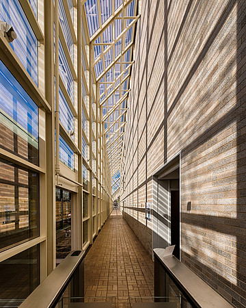 The Shadow Corridor