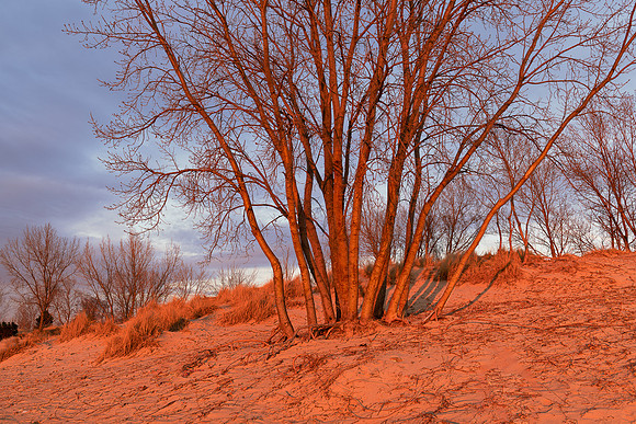 Sand dunes