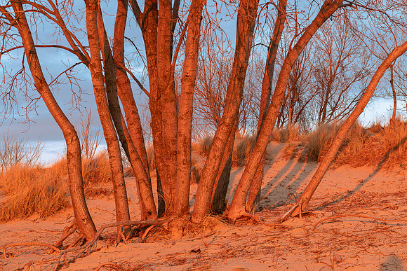 Sand dunes