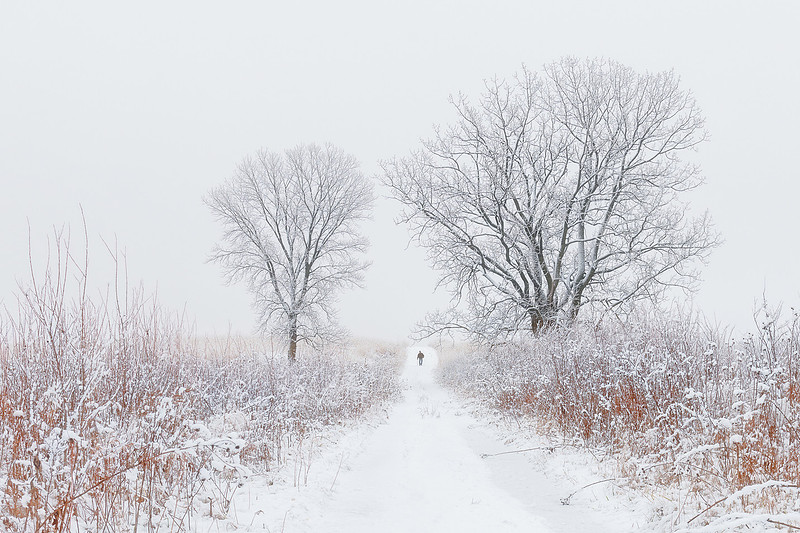 A Winter Walk