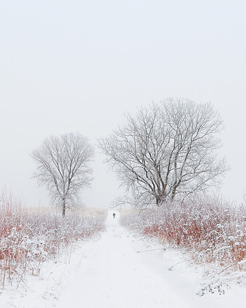 Snowy path