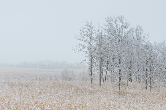 Orland Grasslands