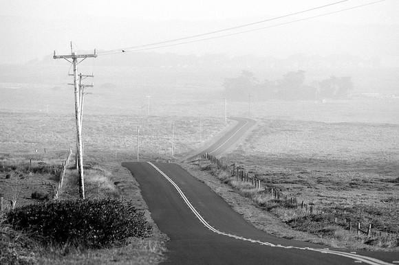 Foggy road