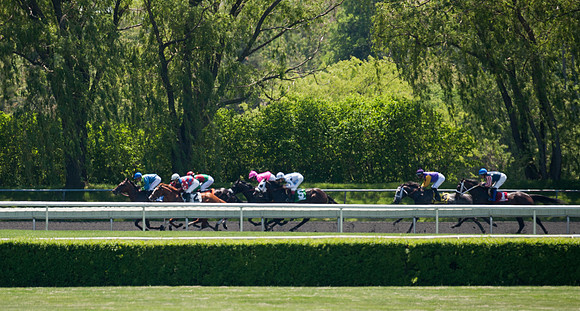 Horse racing