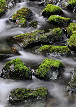 Water flowing around mossy rocks