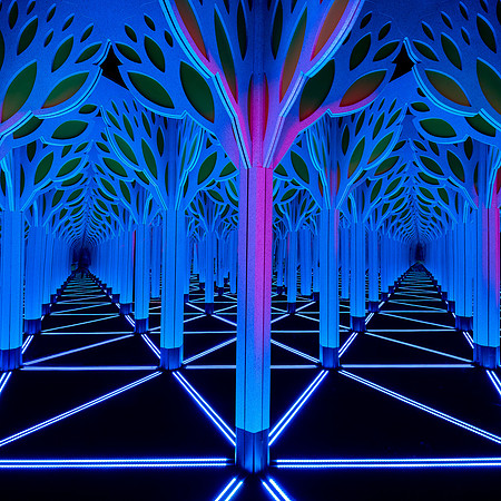 Dual Neon Corridors