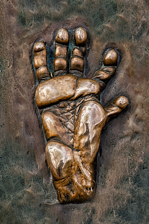 Baboon handprint