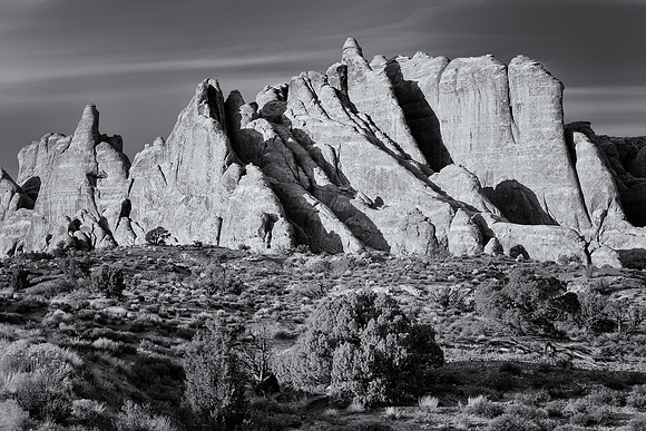 Sandstone fins (B&W version)