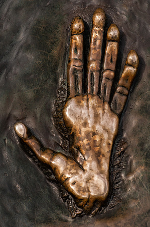 Siamang handprint