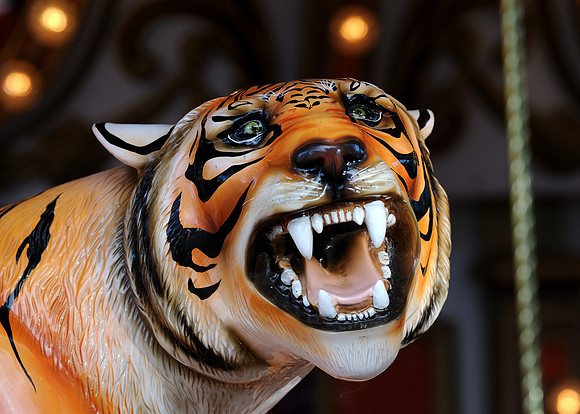 Carousel tiger