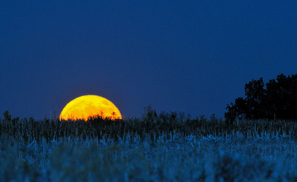 Full moon rising