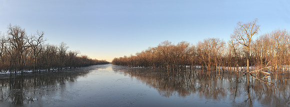 Des Plaines River panoramic