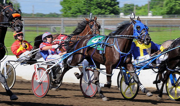 Harness racing