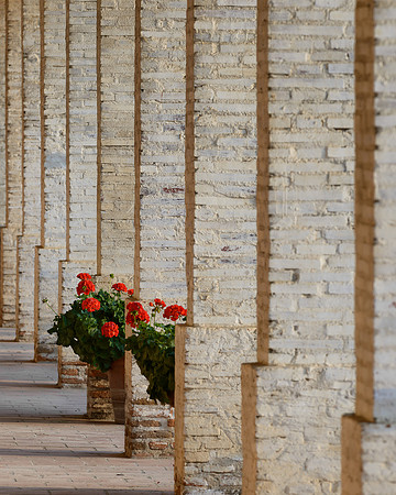 Mission San Antonio de Padua