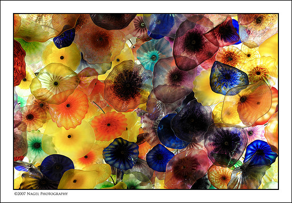 Glass flowers