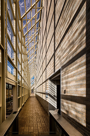 The Shadow Corridor