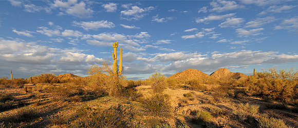 Desert landscape panoramic