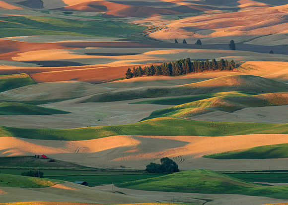 Steptoe Butte