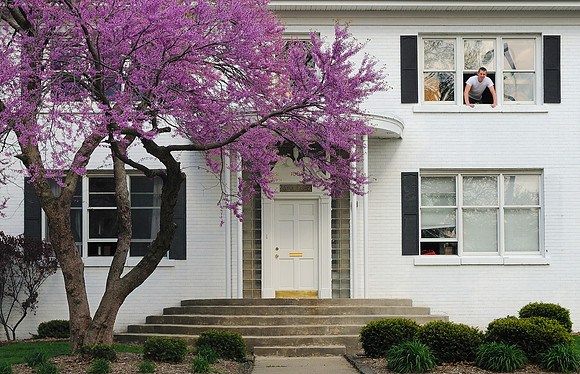 Urbana White House