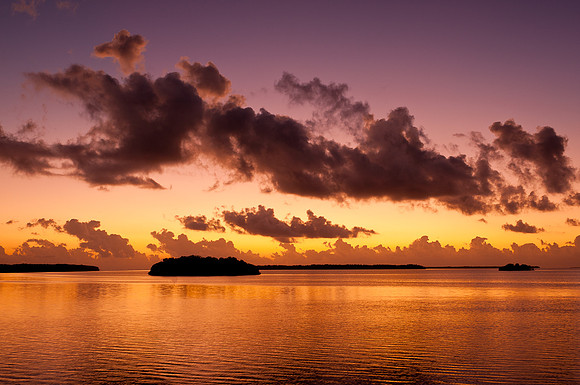 Flamingo sunrise