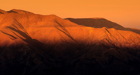 Golden ridge