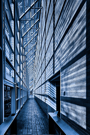 The Shadow Corridor