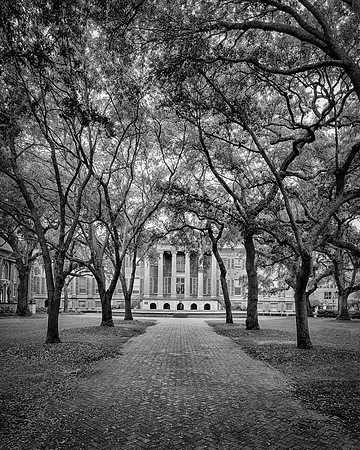 College of Charleston