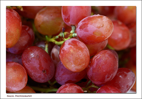 Red grapes