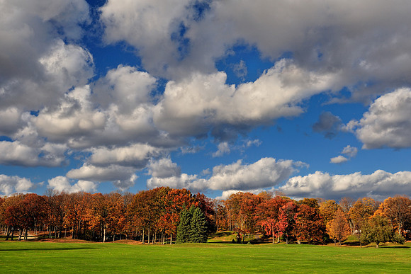 Autumn landscape