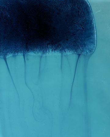 Melting ice cube