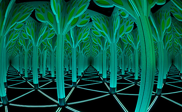 Neon Forest