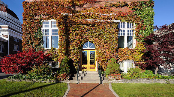 Entrance of leaves