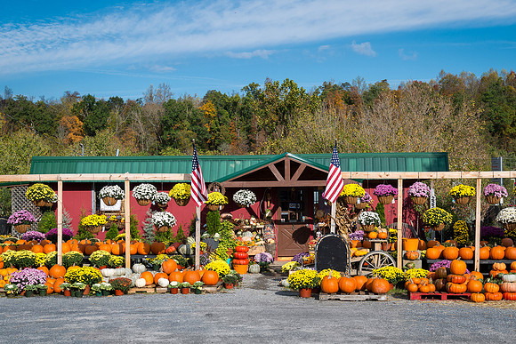 Autumn nursery