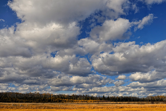 Cloudscape