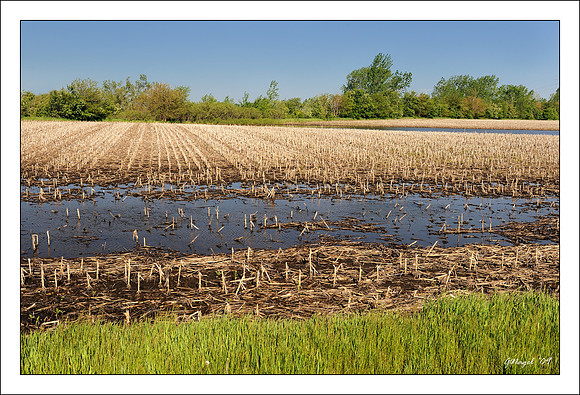 Flooded farm field