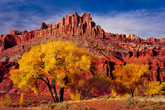 Autumn at the Castle