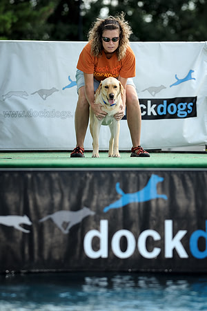 Dock dog