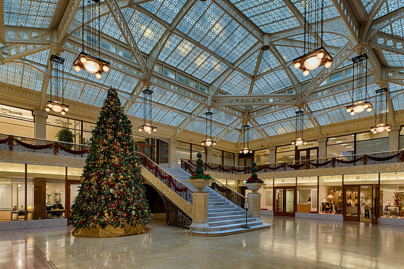 Light Court