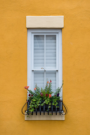 Charleston window
