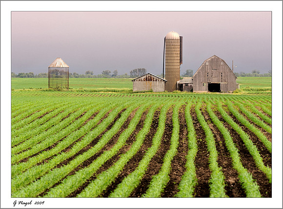 Farm field