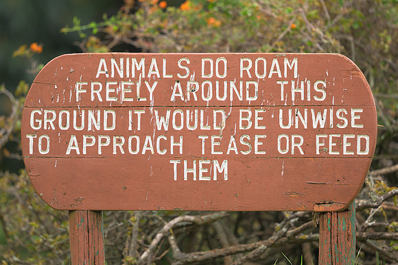 Wildlife Warning Sign