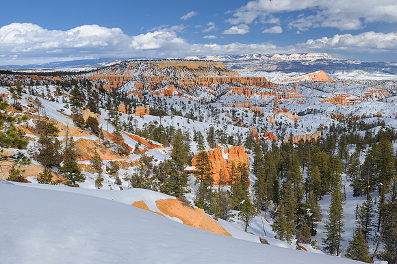 Bryce National Park (Sunrise Point)