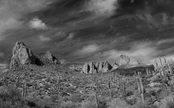 Desert landscape