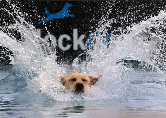 Splash!