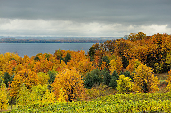 Autumn Michigan landscape