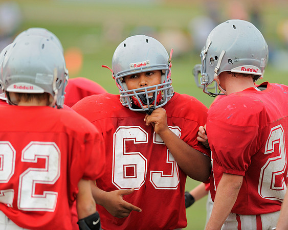 Mundelein Mustangs
