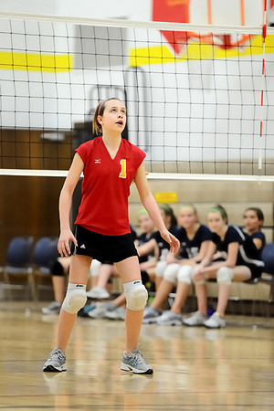 Allison Nagel